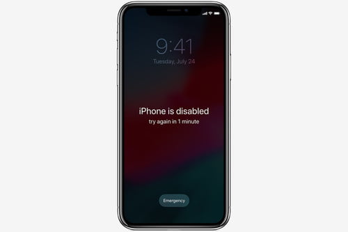 Viewing an iPhone is Disabled Message